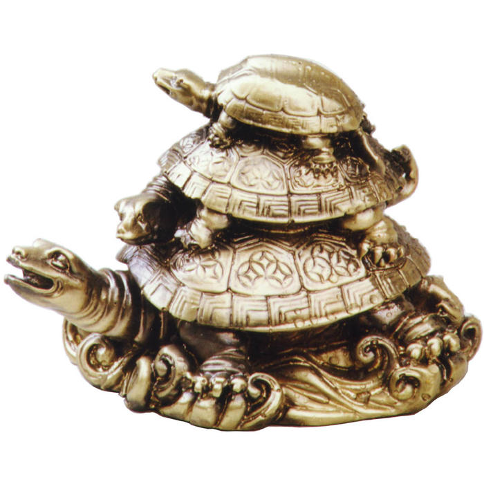 art 250 _ 3 TORTUGAS